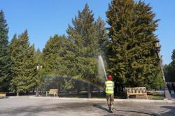 世界杯合法买球app -关于春季(jì)花粉过敏(mǐn)4个关键疑问 專(zhuān)访北京同仁医院(yuàn)專(zhuān)家｜疑问医答