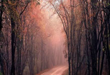 世界杯合法买球app -西甲综合：库尔图瓦送点 皇马客负奥萨苏纳