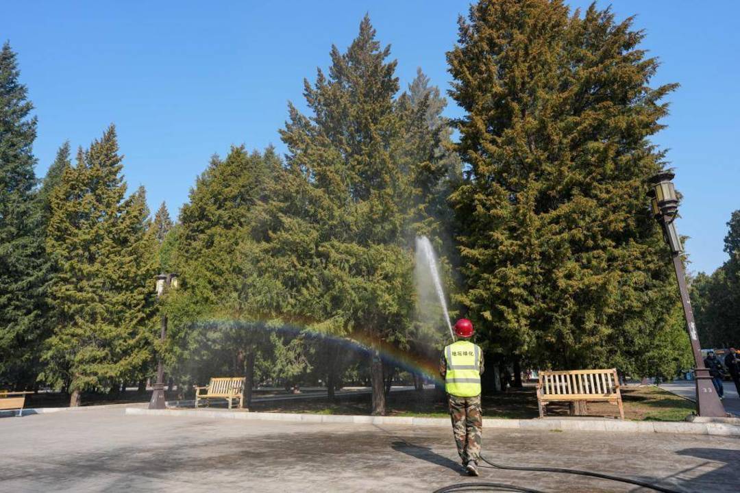 关于春季花粉过敏4个关键疑问 专访北京同仁医院专家｜疑问医答